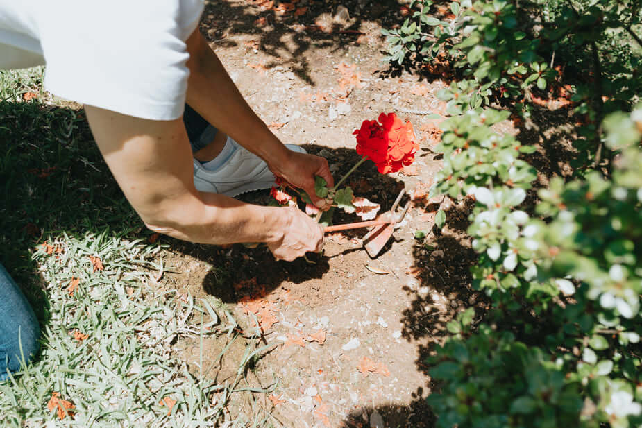 Take Your Gardening Game to the Next Level with Tall Planter Boxes & Raised Garden Beds