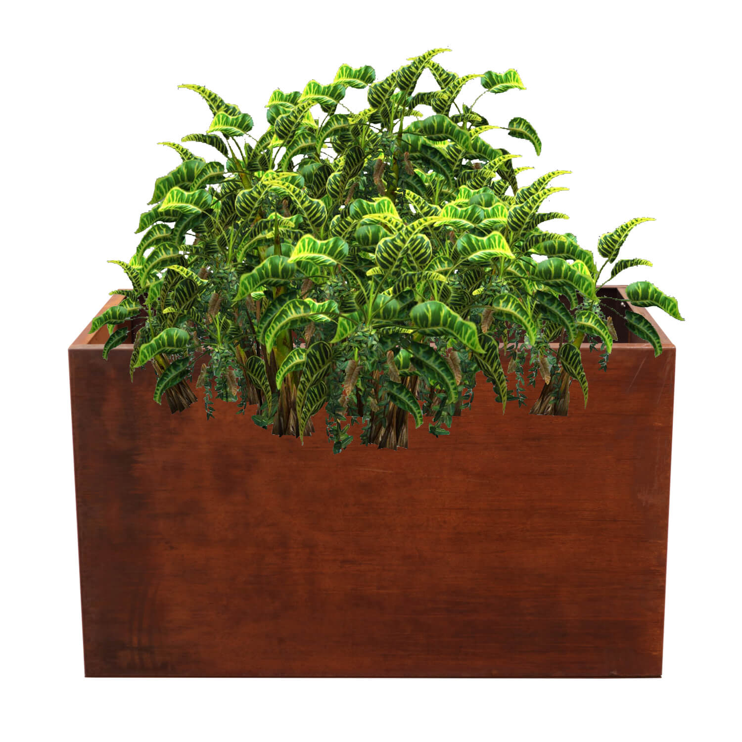 extra large corten steel planter box